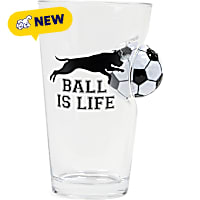 Petco Ball Is Life Soccer Ball Pint Glass
