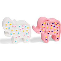 Petco Animal Cookie Shaped Sidewalk Chalk