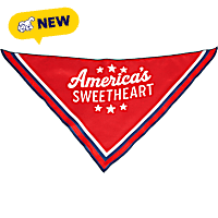 Petco America's Sweetheart Dog Bandana