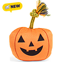 Petco Pumpkin Plush Dog Toy