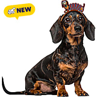 RUBIES Slinky Ears for Dogs