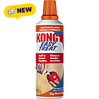 KONG Easy Treat Pumpkin Dog Treats