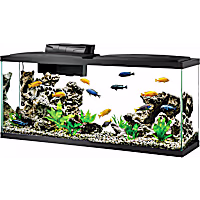 Aqueon 55 Gallon LED Aquarium Kit