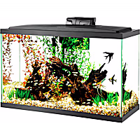 Aqueon LED 29 Gallon Aquarium Kit