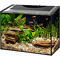 Aqueon Ascent Frameless LED Aquarium Kit