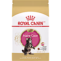 Royal Canin Feline Breed Nutrition Maine Coon Kitten Dry Cat Food