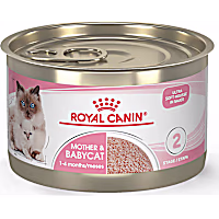 Royal Canin Feline Health Nutrition Mother & Babycat Babycat / Queen Ultra Soft Mousse in Sauce Cat Food
