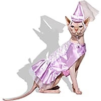 Petco Princess 2-Piece Cat Halloween Costume