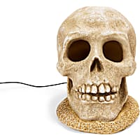 Petco Halloween LED Light-Up Skull Aquarium Decor