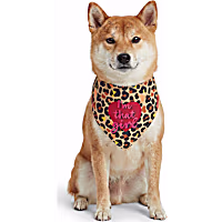 Petco Leopard I'm That Girl Dog Bandana