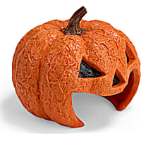 Petco Halloween Jack-o-Lantern Reptile Habitat Hideaway