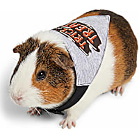 Petco Halloween Small Animal Bandana