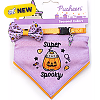 Pusheen Pumpkin Bandana Set for Cats