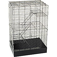 You & Me Rat Manor Habitat