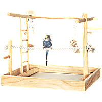 You & Me 3-in-1 Playground for Birds