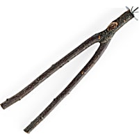 You & Me Bird Manzanita Wood Multi-Branch Bird Perch Toy