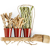 You & Me Plant Trio Toy
