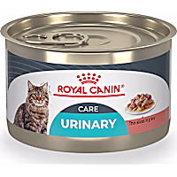 Royal Canin Feline Care Nutrition Urinary Care Thin Slices in Gravy Adult Wet Cat Food