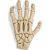 Petco Halloween Skeleton Claw Reptile Habitat Hideaway