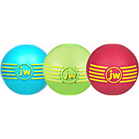 JW Pet iSqueak Rubber Ball Dog Toy