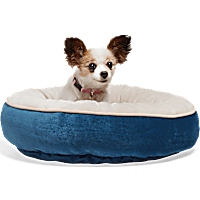 EveryYay Essentials Plush Bolster Round Dog Bed