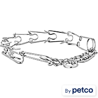EveryYay Classic Training Dog Collar