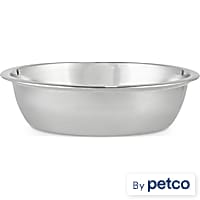 EveryYay Dining In Stainless Steel Dog Bowl Insert