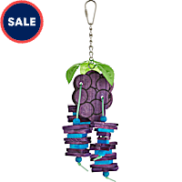 You & Me Grape Expectations Chewing Bird Toy