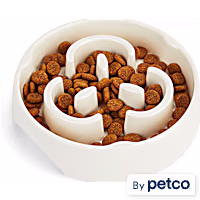 EveryYay Take It Slow White Slow Feeder Pet Bowl