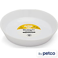 EveryYay Dining In Ceramic Cat Saucer with Fish Print