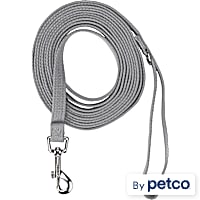 EveryYay Settin' the Pace Recall Training Leash for Dogs