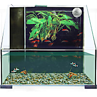 Penn Plax AquaTerrium Tank