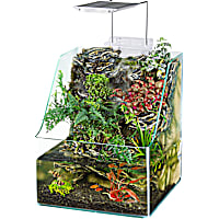 Penn Plax Planting Aquarium Tank