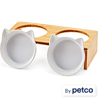 EveryYay Better Together Elevated Bamboo Diner for Cats