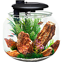 Penn Plax 24 Gallons 360 Aquasphere Tank
