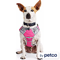 EveryYay Front Walking Reflective Dog Harness