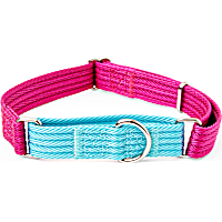 EveryYay Martingale Dog Collar
