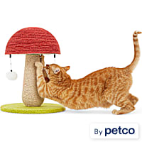 EveryYay Toadstool Scratch Post for Cats