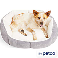 EveryYay Lavender Orthopedic Dog Bed