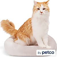 EveryYay Gray Rectangle Lounger Cat Bed