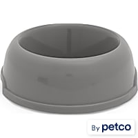 EveryYay Essentials Gray Plastic Dog & Cat Bowl
