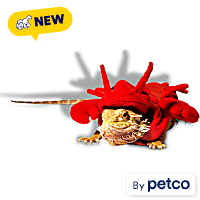 Petco Lobster Bearded Dragon Pet Halloween Costume