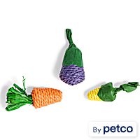 EveryYay Veggie-Shaped Small Animal Chew Toys