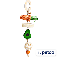 EveryYay Veggie Skewer-Shaped Small Animal Chew Toy