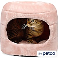 EveryYay Honeycomb 2-in-1 Convertible Cat Bed