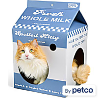 EveryYay Milk Carton Cat Scratch Condo