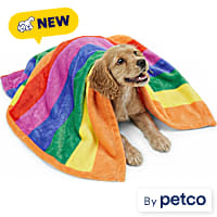 EveryYay Pride Rainbow Pet Throw
