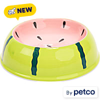 EveryYay Watermelon Ceramic Cat Bowl