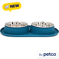 EveryYay Silicone Double Diner Base with Stainless Seel Inserts Cat Bowl