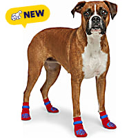 Petco Functional Gripping Dog Socks